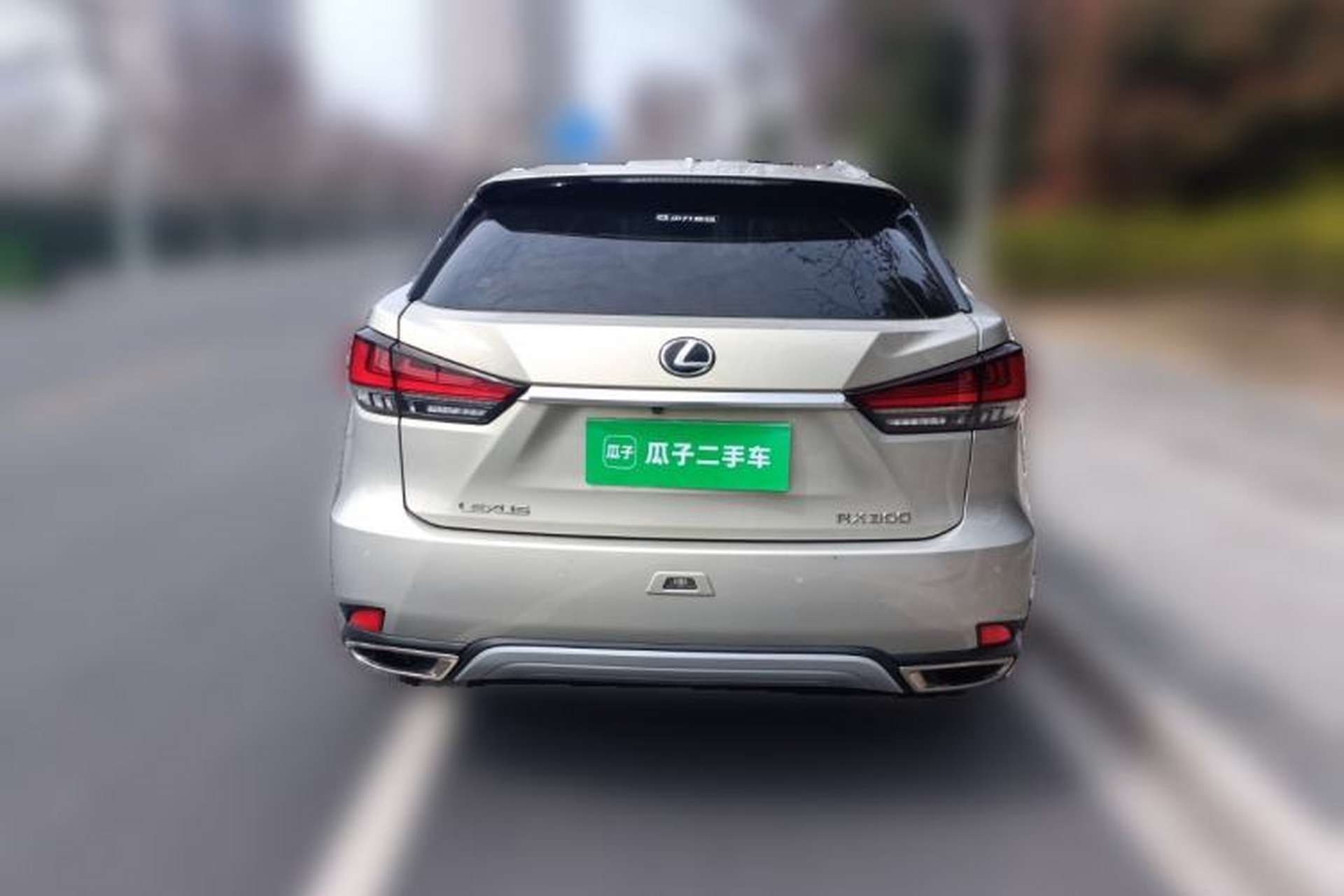 Used Lexus RX 2020 300 4x4 Elegant Edition China VI Rear
