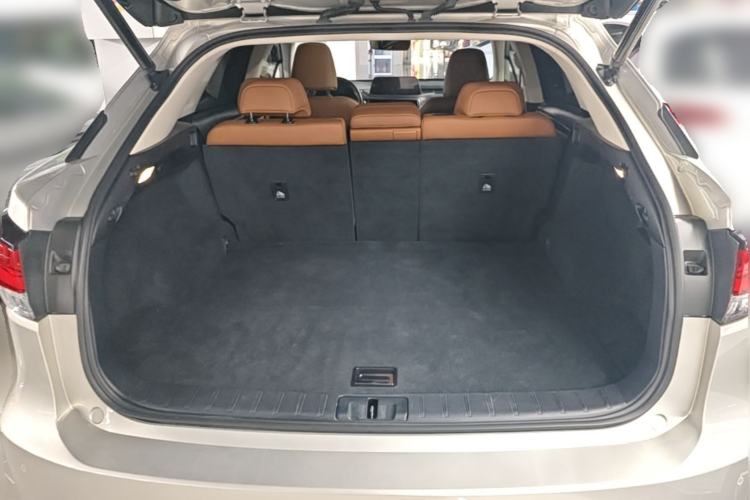 Used Lexus RX 2020 300 4x4 Elegant Edition China VI Trunk