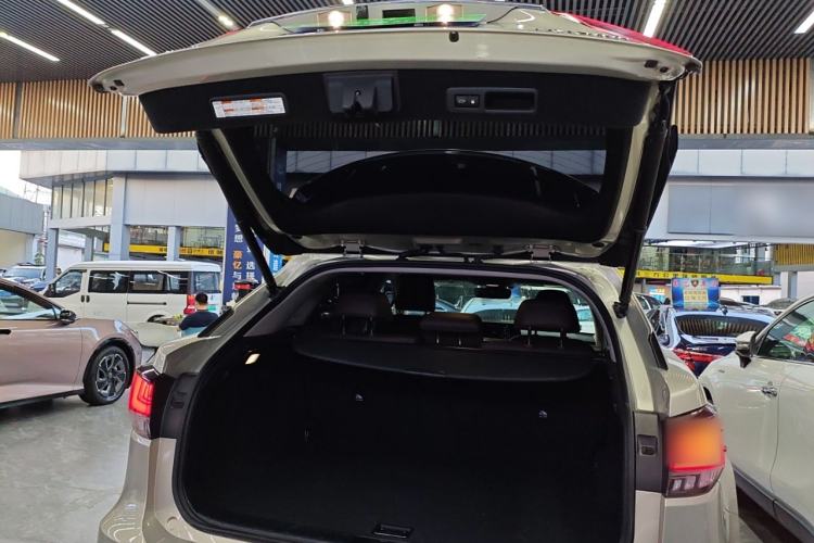 Used Lexus RX 2020 Facelifted 300 4x4 Elegant Edition Trunk
