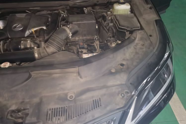Used Lexus RX 2021 300 Four-Wheel Drive Special Edition Engine Bay Left