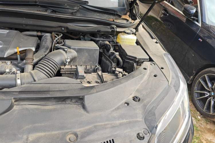 Used Lexus RX 2021 300 Four-Wheel Drive Special Edition Engine Bay Left