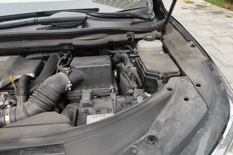 Used Lexus RX 2021 300 Four-Wheel Drive Special Edition Engine Bay Left