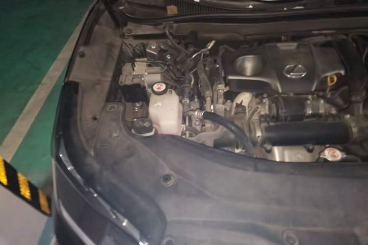 Used Lexus RX 2021 300 Four-Wheel Drive Special Edition Engine Bay Right