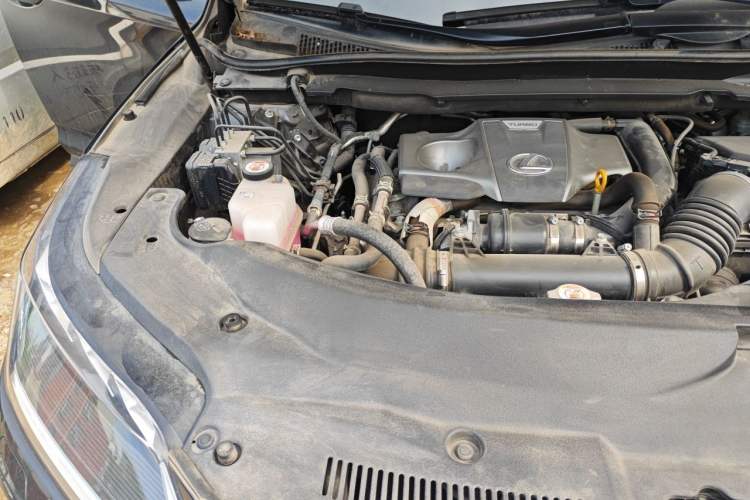 Used Lexus RX 2021 300 Four-Wheel Drive Special Edition Engine Bay Right