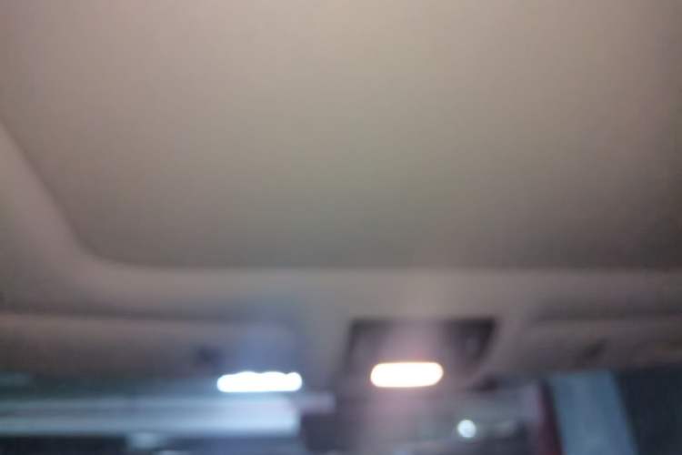 Used Lexus RX 2021 300 Four-Wheel Drive Special Edition Headliner
