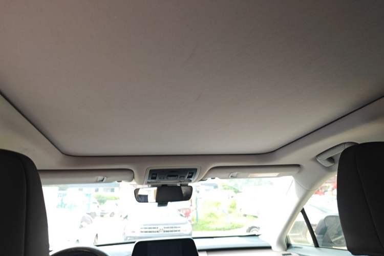 Used Lexus RX 2021 300 Four-Wheel Drive Special Edition Headliner