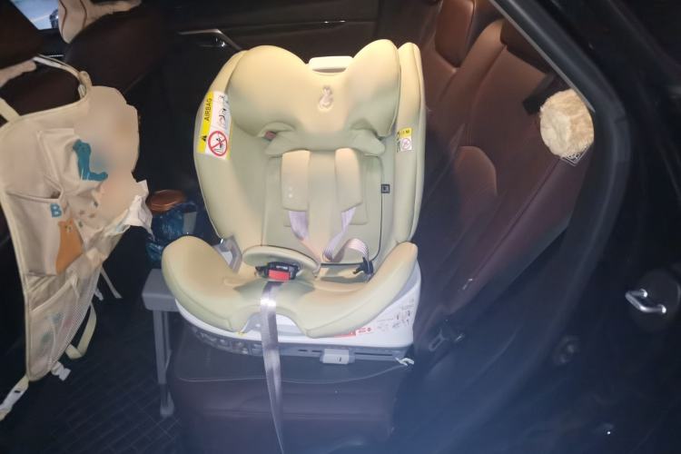 Used Lexus RX 2021 300 Four-Wheel Drive Special Edition Left Rear Seat