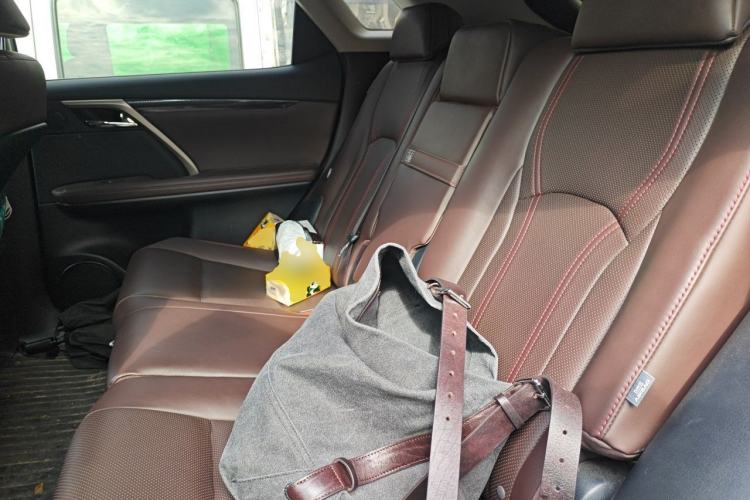 Used Lexus RX 2021 300 Four-Wheel Drive Special Edition Left Rear Seat