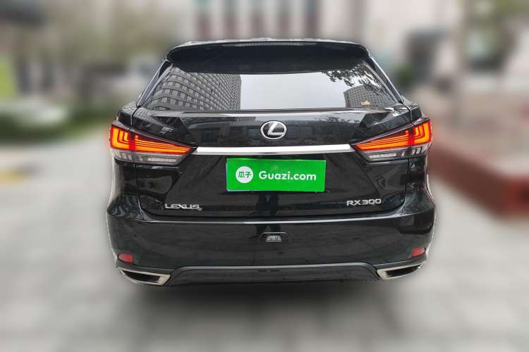 Used Lexus RX 2021 300 Four-Wheel Drive Special Edition Rear