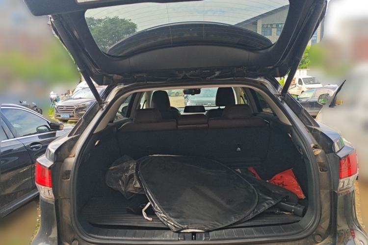 Used Lexus RX 2021 300 Four-Wheel Drive Special Edition Trunk