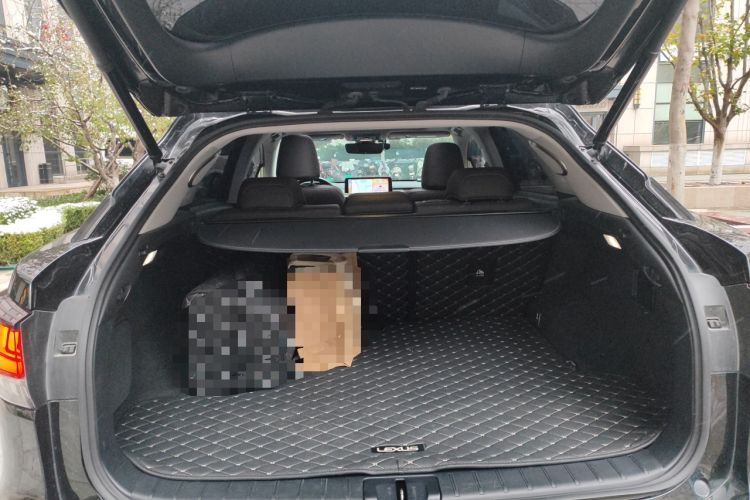 Used Lexus RX 2021 300 Four-Wheel Drive Special Edition Trunk
