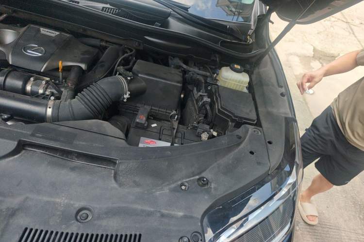 Used Lexus RX 2021 300 Four-Wheel Drive Special Edition Engine Bay Left