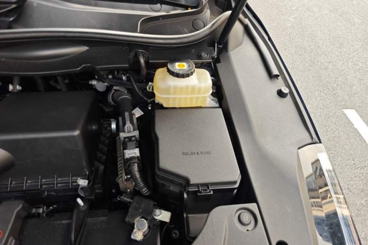 Used Lexus RX 2021 300 Four-Wheel Drive Special Edition Engine Bay Left