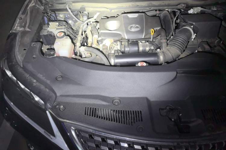 Used Lexus RX 2021 300 4x4 F SPORT Engine Bay Right