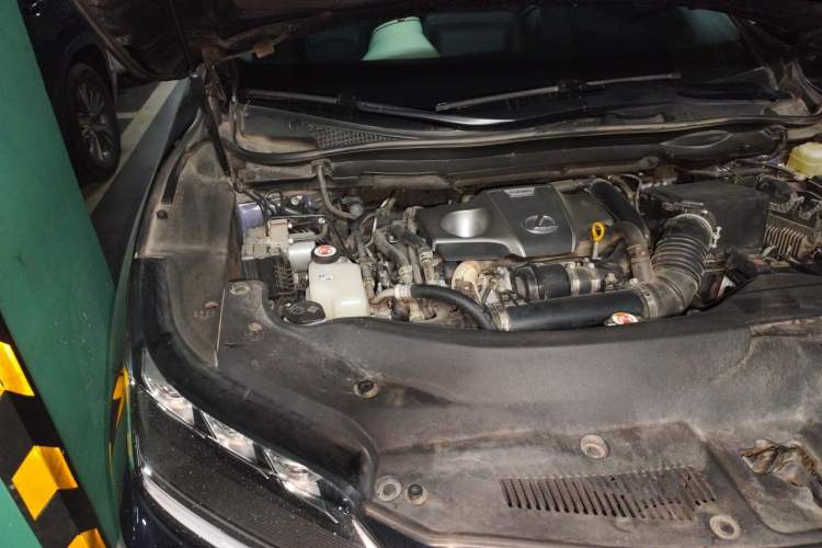 Used Lexus RX 2021 300 4x4 F SPORT Engine Bay Right