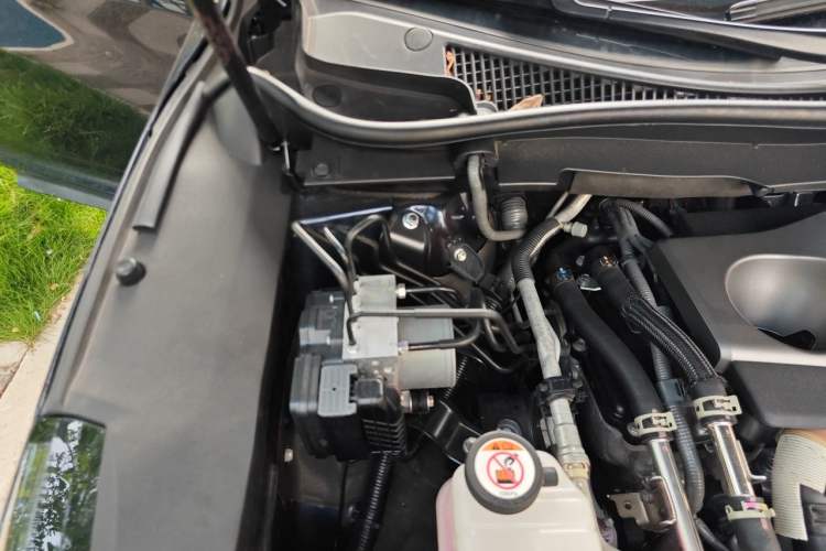Used Lexus RX 2021 300 Four-Wheel Drive Special Edition Engine Bay Right