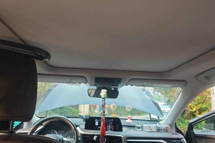 Used Lexus RX 2021 300 Four-Wheel Drive Special Edition Headliner