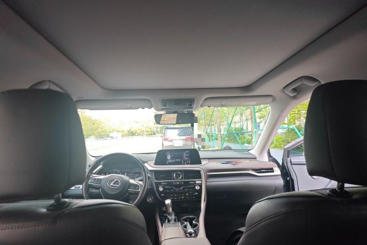 Used Lexus RX 2021 300 Four-Wheel Drive Special Edition Headliner