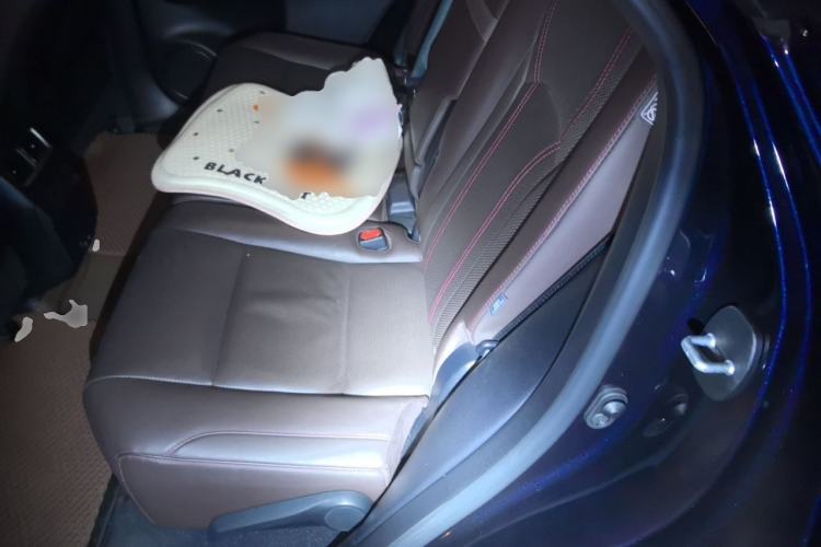 Used Lexus RX 2021 300 4x4 F SPORT Left Rear Seat