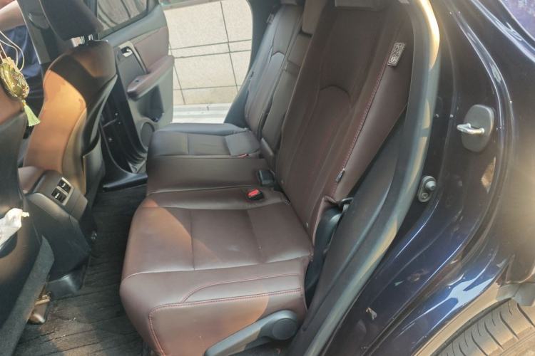 Used Lexus RX 2021 300 Four-Wheel Drive Special Edition Left Rear Seat