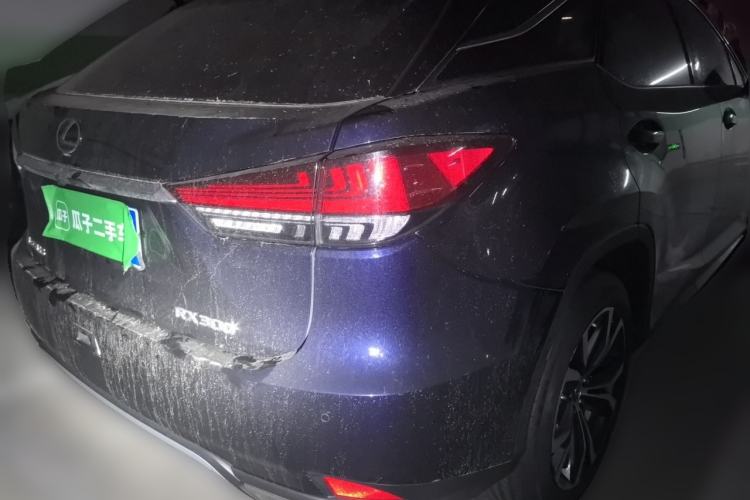 Used Lexus RX 2021 300 4x4 F SPORT Rear