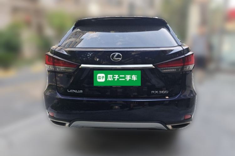 Used Lexus RX 2021 300 Four-Wheel Drive Special Edition Rear