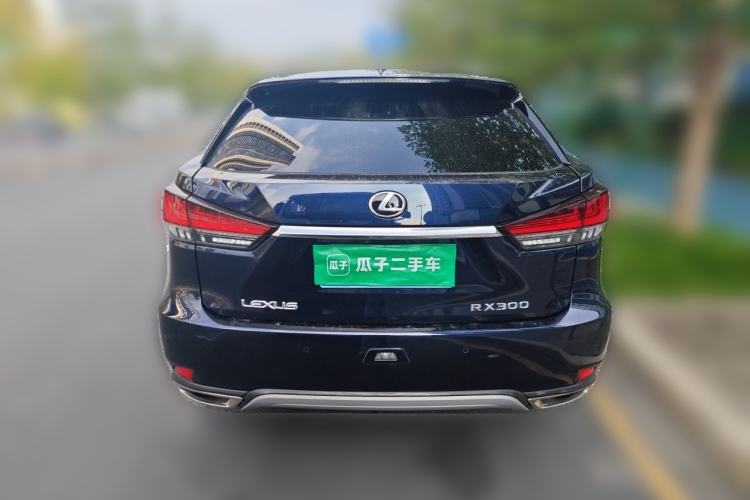 Used Lexus RX 2021 300 Four-Wheel Drive Special Edition Rear