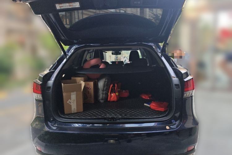 Used Lexus RX 2021 300 Four-Wheel Drive Special Edition Trunk