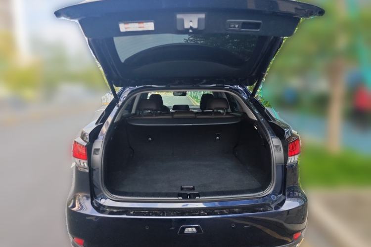 Used Lexus RX 2021 300 Four-Wheel Drive Special Edition Trunk