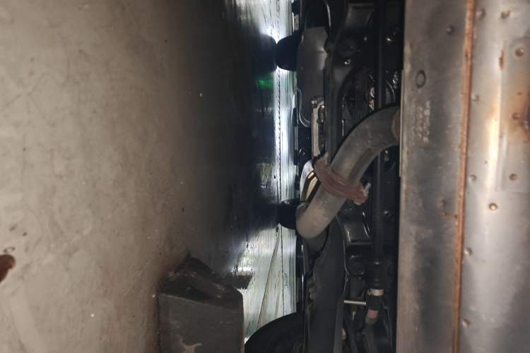 Used Lexus RX 2021 300 Four-Wheel Drive Special Edition Chassis Rear