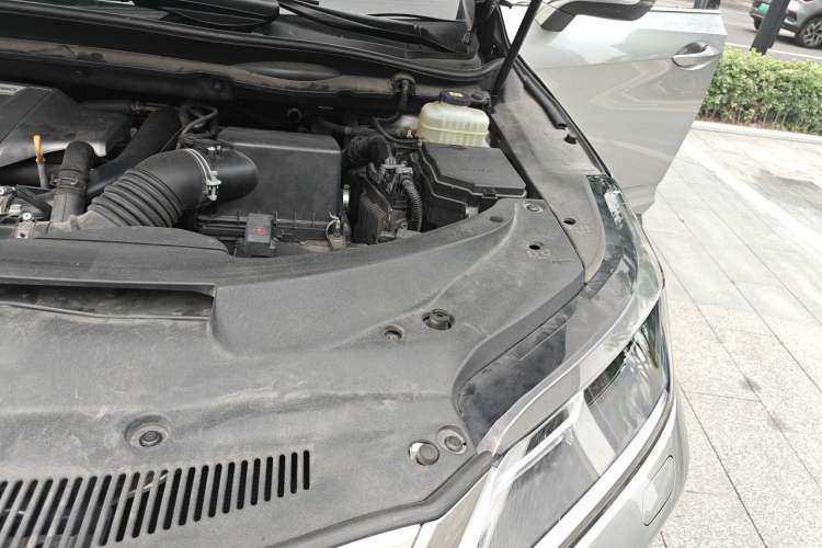 Used Lexus RX 2021 300 Four-Wheel Drive Special Edition Engine Bay Left