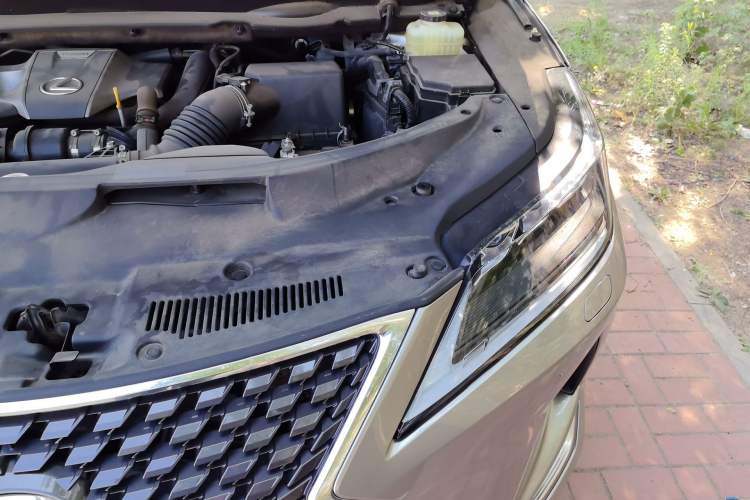 Used Lexus RX 2021 300 Four-Wheel Drive Special Edition Engine Bay Left