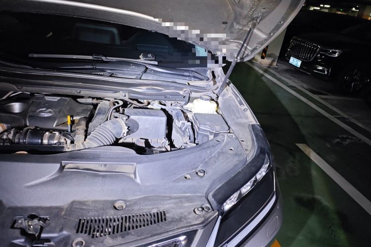 Used Lexus RX 2021 300 Four-Wheel Drive Special Edition Engine Bay Left