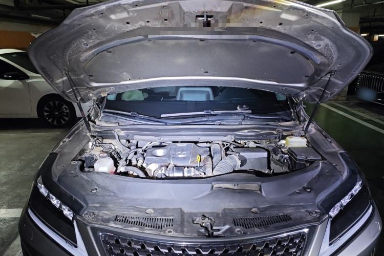 Used Lexus RX 2021 300 Four-Wheel Drive Special Edition Engine Bay