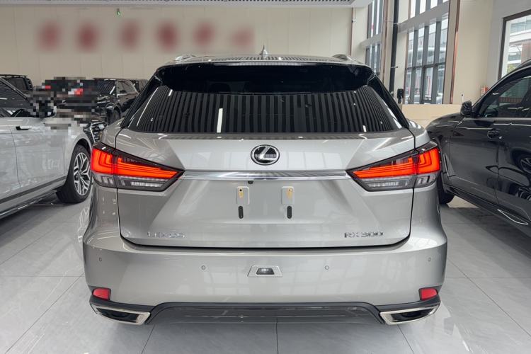 Used Lexus RX 2021 300 Four-Wheel Drive Special Edition Exterior 4