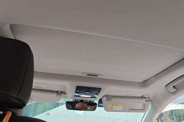 Used Lexus RX 2021 300 Four-Wheel Drive Special Edition Headliner