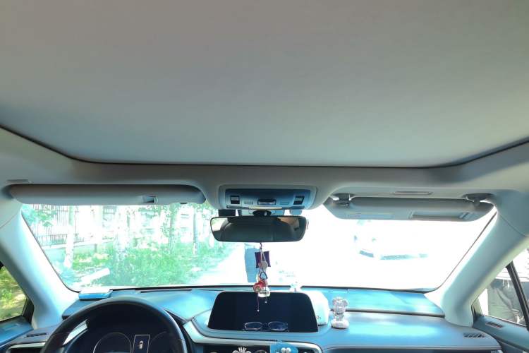 Used Lexus RX 2021 300 Four-Wheel Drive Special Edition Headliner