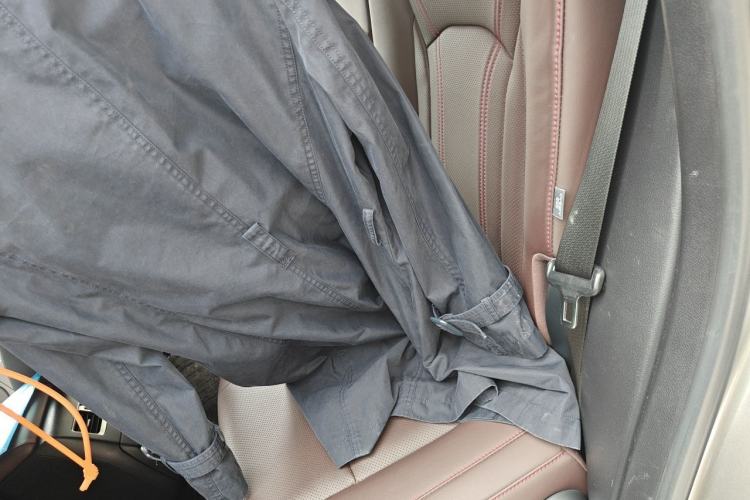 Used Lexus RX 2021 300 Four-Wheel Drive Special Edition Left Rear Seat