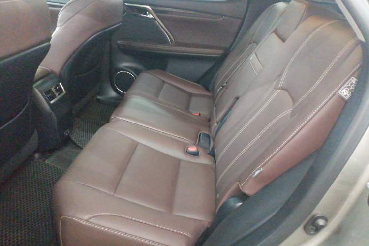 Used Lexus RX 2021 300 Four-Wheel Drive Special Edition Left Rear Seat