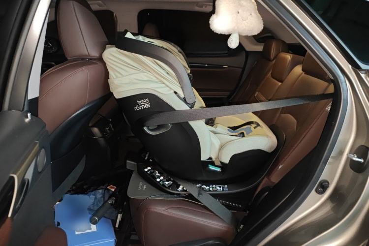 Used Lexus RX 2021 300 Four-Wheel Drive Special Edition Left Rear Seat