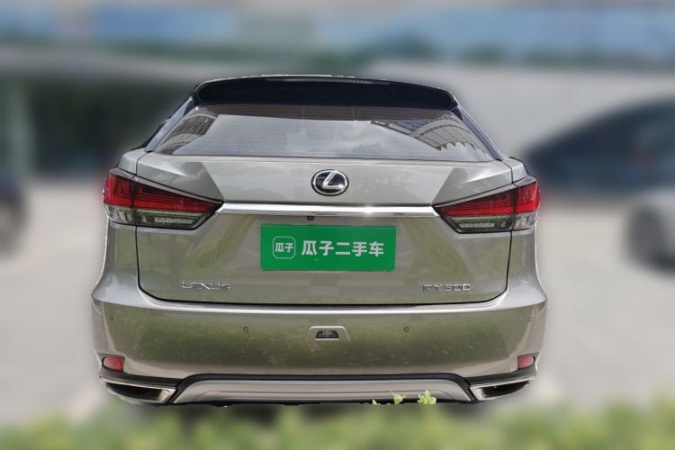 Used Lexus RX 2021 300 Four-Wheel Drive Special Edition Rear