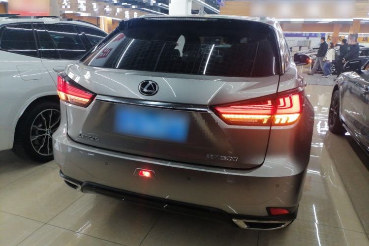 Used Lexus RX 2021 300 Four-Wheel Drive Special Edition Rear