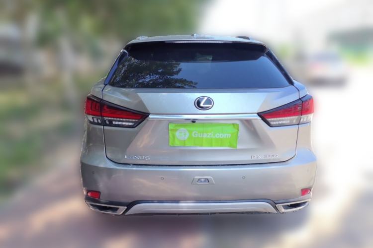Used Lexus RX 2021 300 Four-Wheel Drive Special Edition Rear