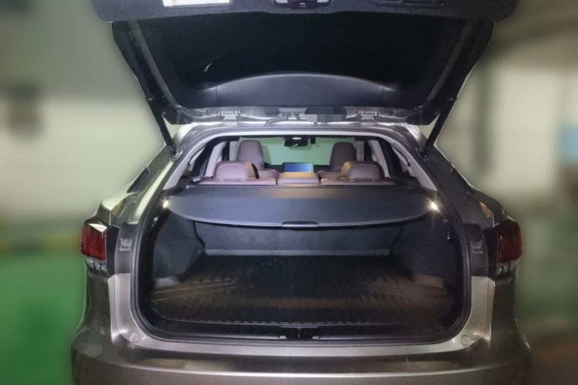 Used Lexus RX 2021 300 Four-Wheel Drive Special Edition Trunk