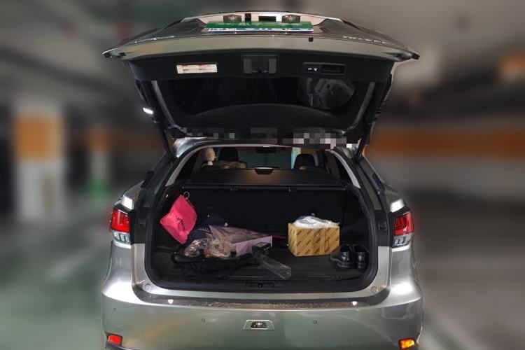 Used Lexus RX 2021 300 Four-Wheel Drive Special Edition Trunk