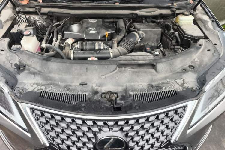 Used Lexus RX 2021 300 Four-Wheel Drive Special Edition Engine Bay
