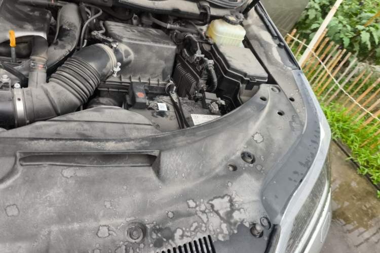 Used Lexus RX 2021 300 Four-Wheel Drive Special Edition Engine Bay Left