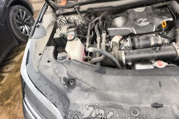 Used Lexus RX 2021 300 Four-Wheel Drive Special Edition Engine Bay Right