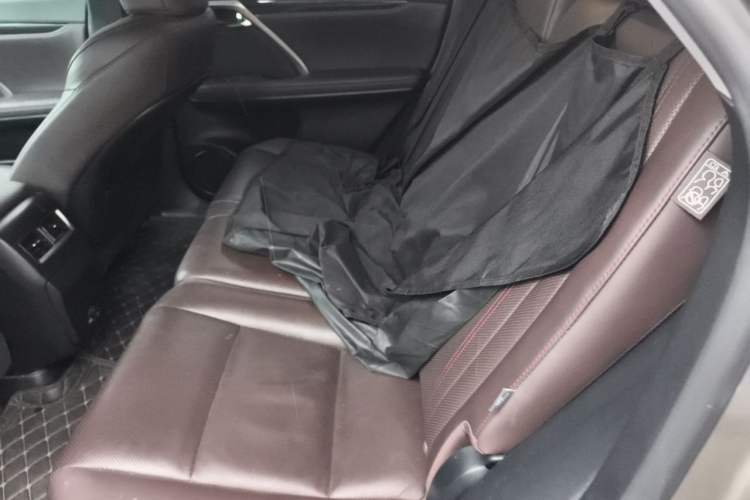 Used Lexus RX 2021 300 Four-Wheel Drive Special Edition Left Rear Seat