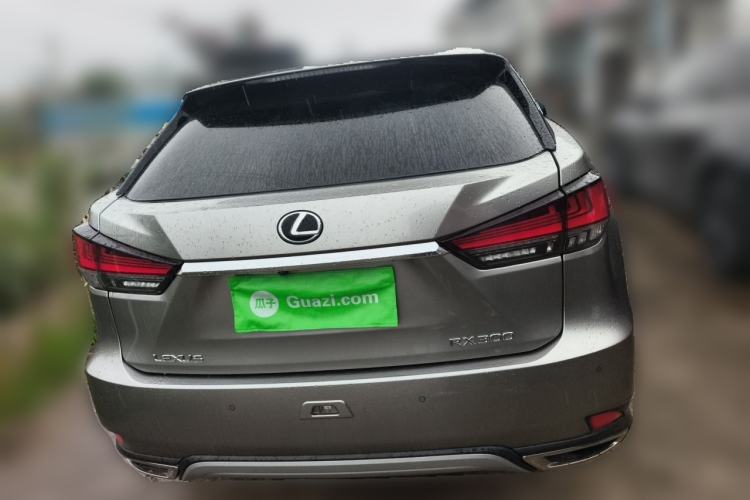 Used Lexus RX 2021 300 Four-Wheel Drive Special Edition Rear